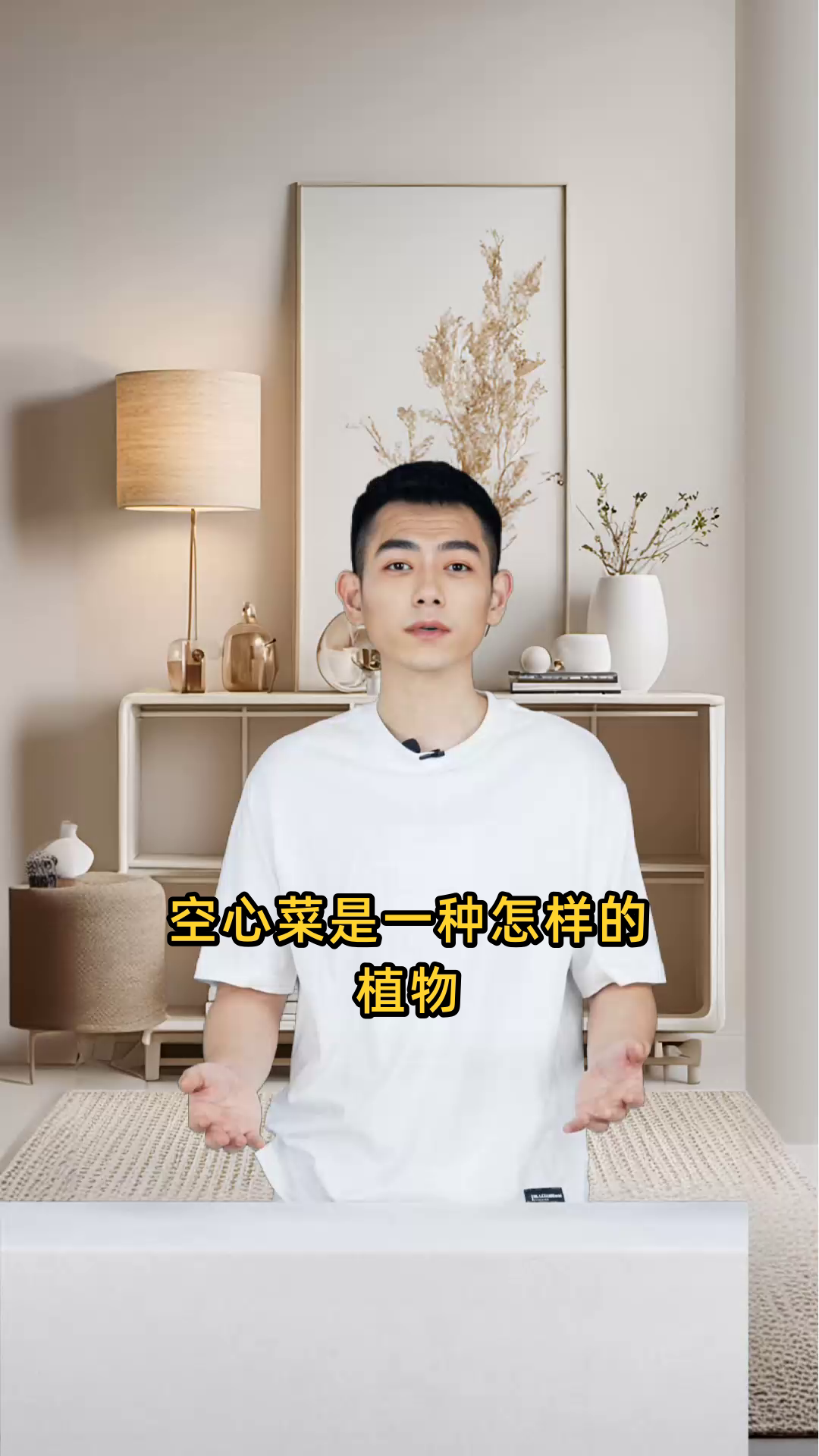 空心菜是一种怎样的植物,它归属于哪个植物类别?