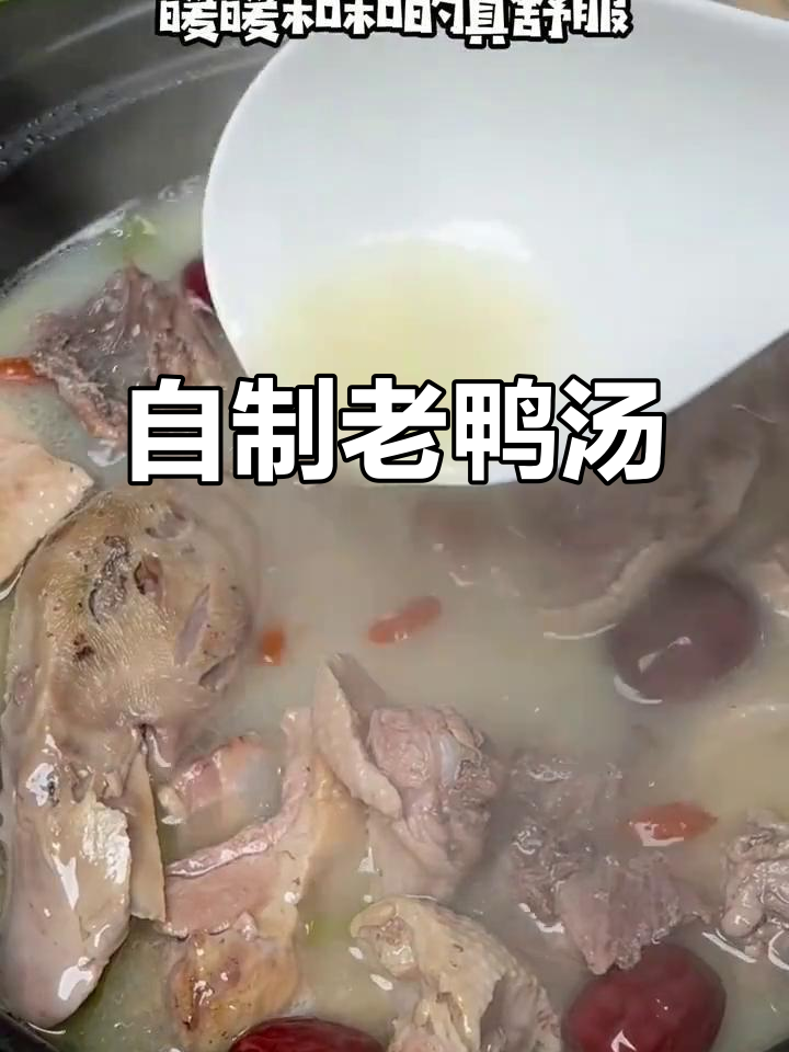 农家土鸭汤,肉质鲜嫩营养高,冬季暖心必备
