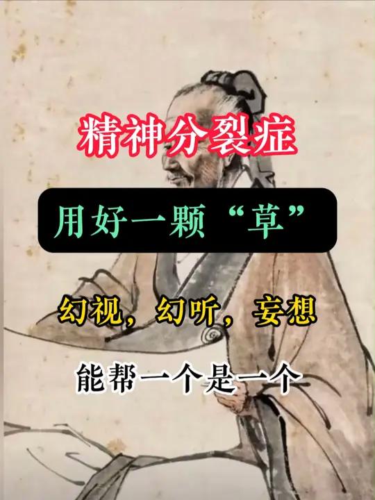 精神分裂症,用一把“草”幻听妄想,能帮一个是一个!今天要说的奇草,名为石菖蒲一通常生长在深