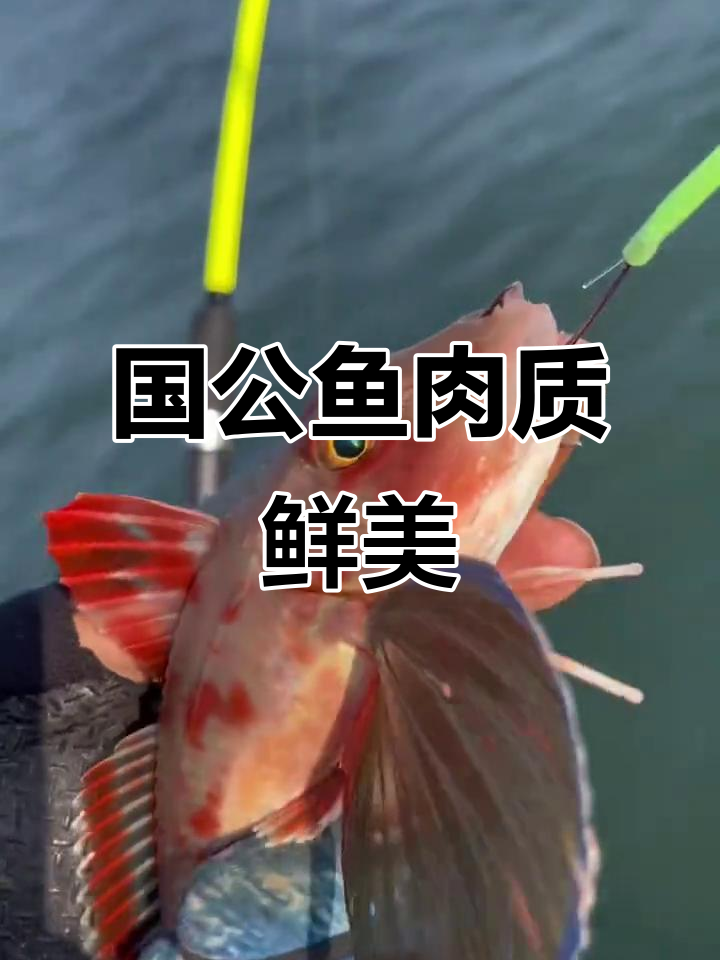 深海国公鱼：鲜嫩美味，营养丰富