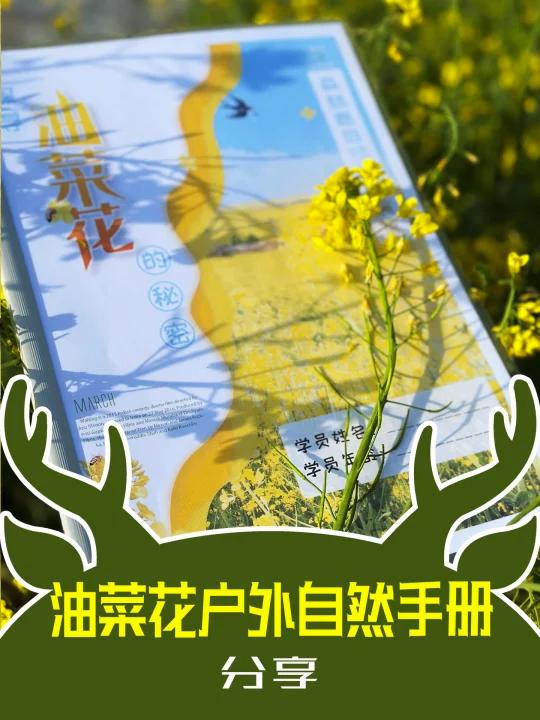 户外自然课堂油菜花研学手册来啦