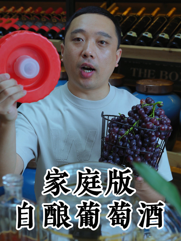 家庭版自酿葡萄酒,1分钟把葡萄变成葡萄酒