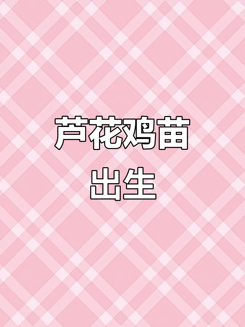 芦花鸡苗破壳，二十一天终于迎来新生