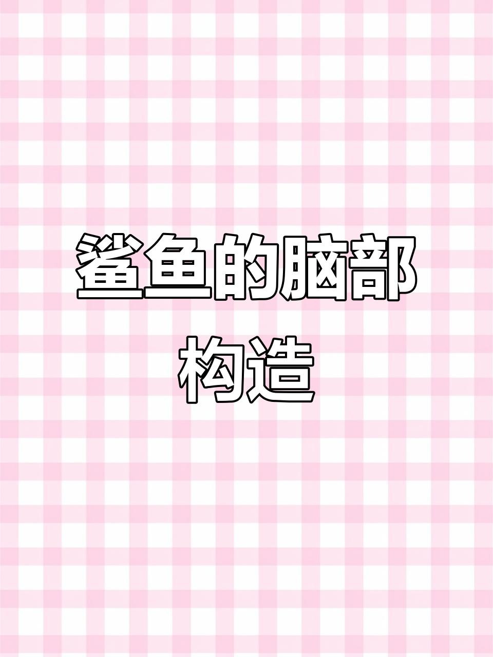 鲨鱼大脑揭秘:Y字形结构与超强嗅觉