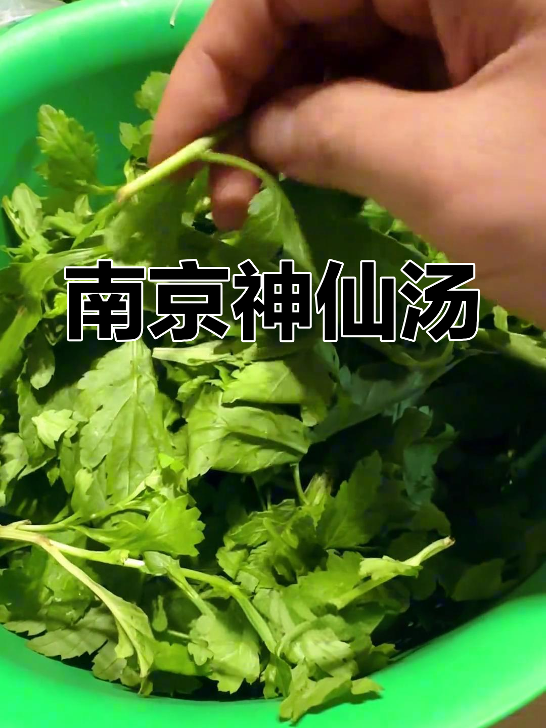南京菊花脑汤,鸡蛋鸭蛋各有风味!你更偏爱哪一种?