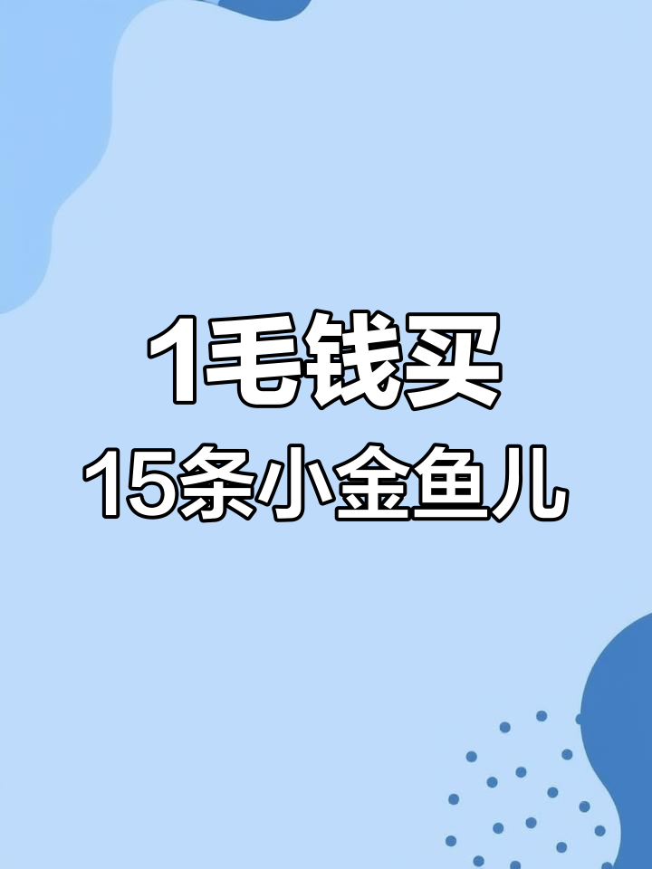 一毛钱网购15条金鱼,2条路上睡着了!