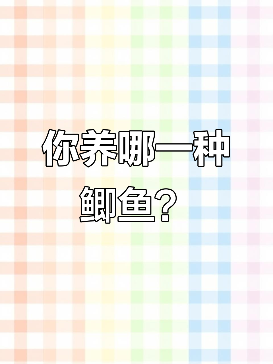 鲫鱼品种大揭秘,哪种最适合你养?