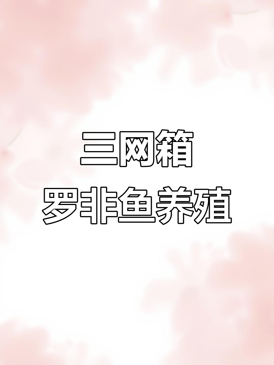 罗非鱼三网箱养殖技巧:如何提高溶氧量与放养密度