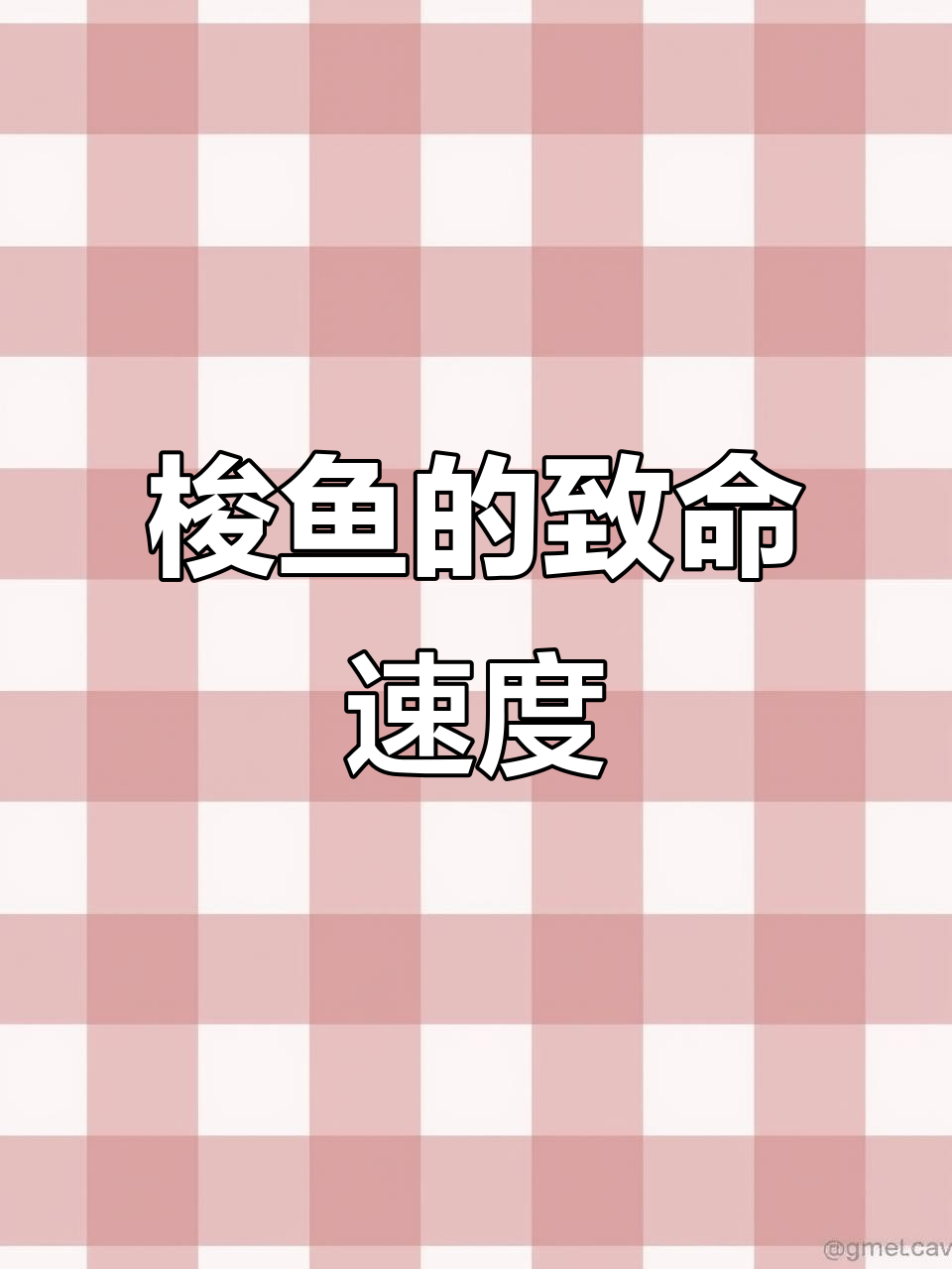 梭鱼速度快如闪电,捕食珊瑚礁生物时携带致命毒素