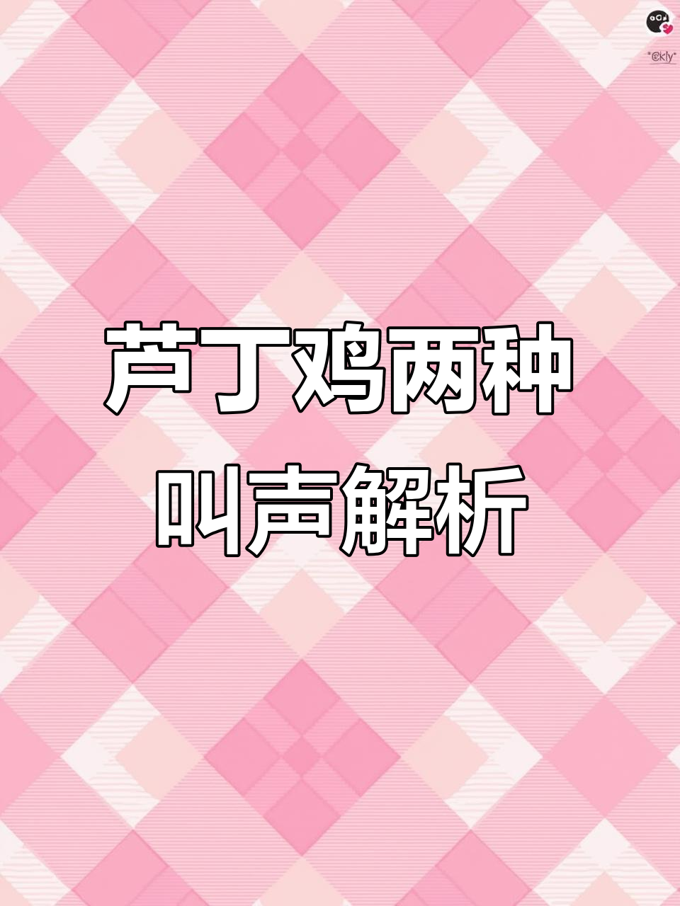 芦丁鸡叫声大揭秘:不是尖叫,而是这两种声音!