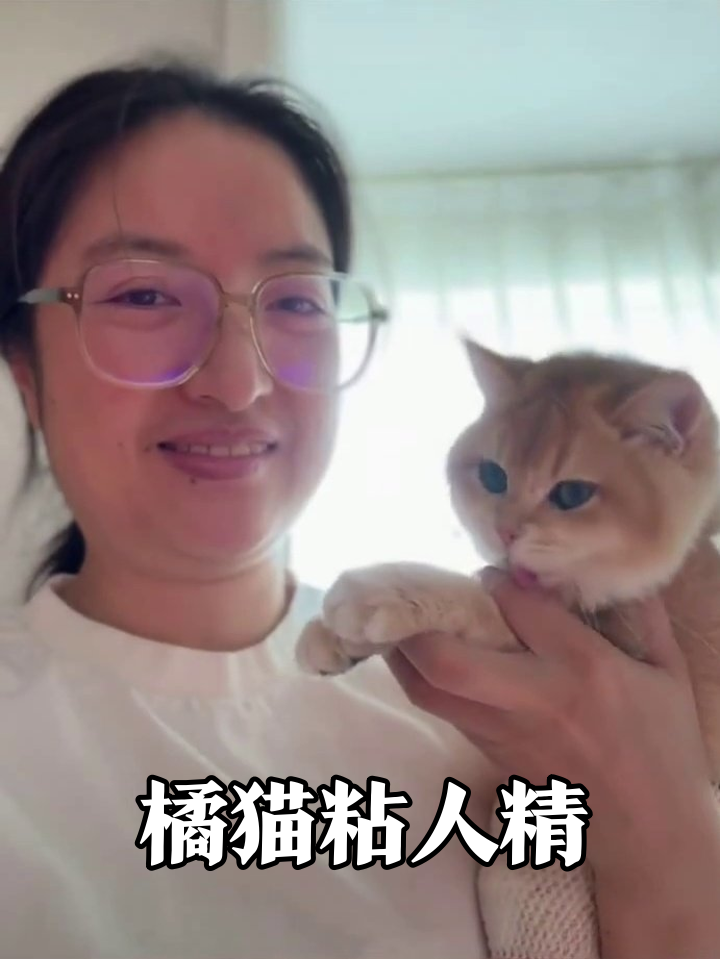 小橘猫狂蹭主人脸,蓝眼睛+撒娇爪萌化了!