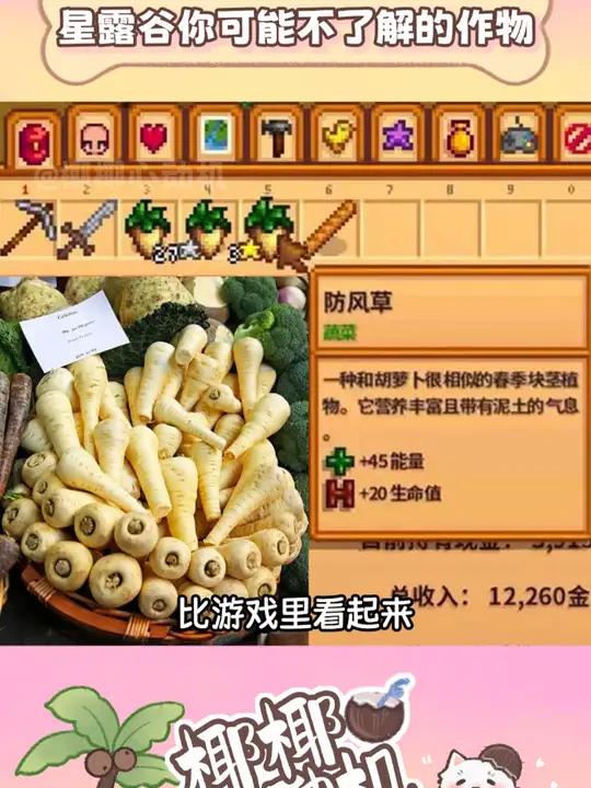 星露谷你可能不了解的作物 星露谷物语 欧防风 兔子的脚 steam游戏