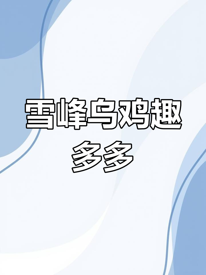 雪峰乌鸡,母鸡能孵25蛋,养几只乐趣无穷!