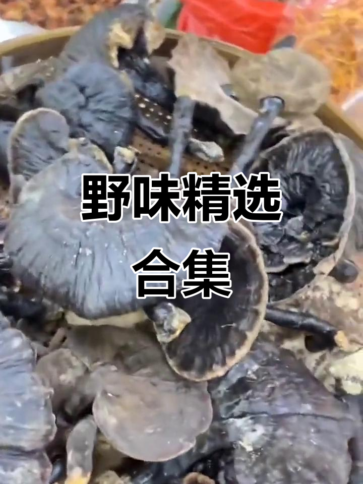 野生土特产大揭秘,灵芝、石斛与台湾红虾的完美搭配