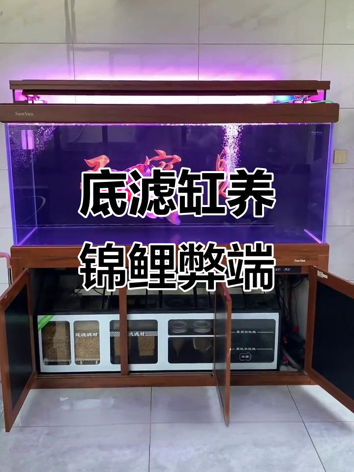 底滤缸养锦鲤的优缺点分析,如何避免堵塞问题