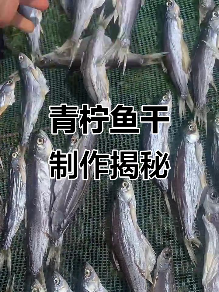 青林子鱼干大比拼,煎炸蒸煮任你选