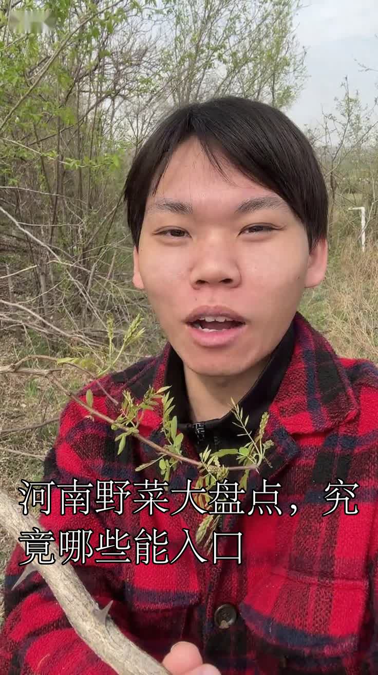 河南野菜大盘点，究竟哪些能入口