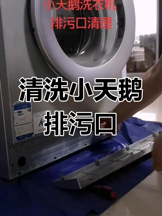 小天鹅洗衣机排污口清理教程