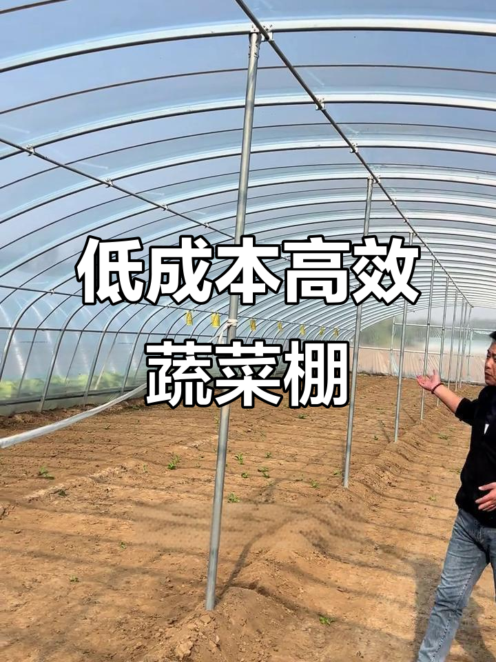 12米宽50米长蔬菜大棚,南北通用,造价低施工快