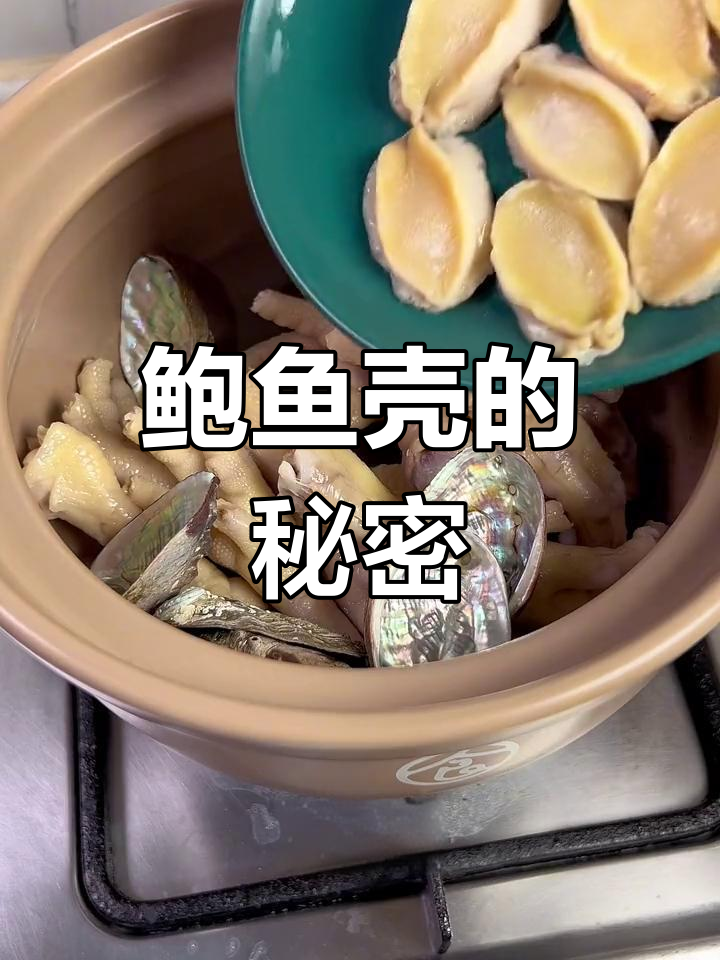 鲍鱼壳是宝贝,与虫草花煲汤,既美味又滋补