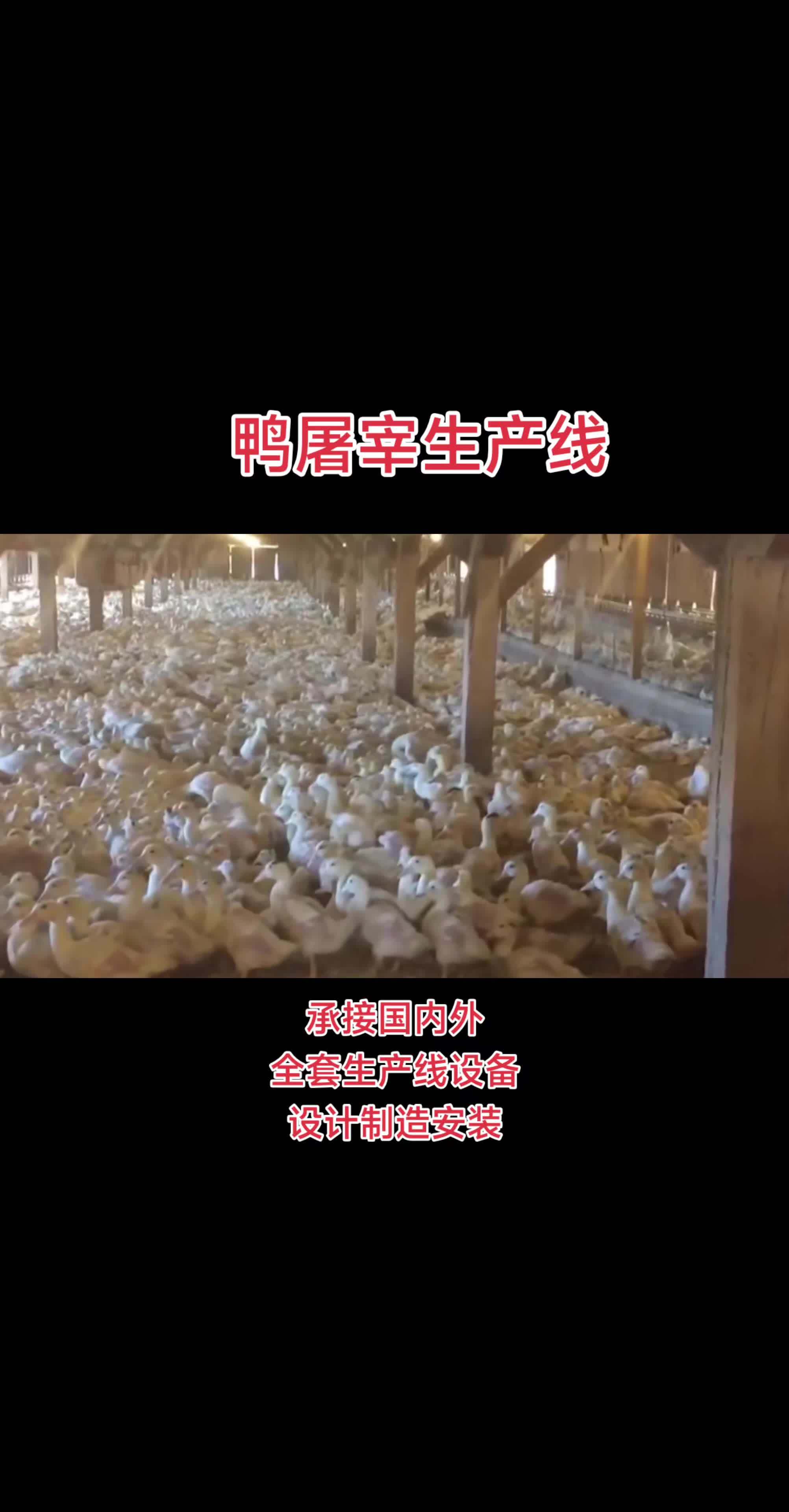 鸭屠宰生产线 #鸭屠宰生产线#食品生产线