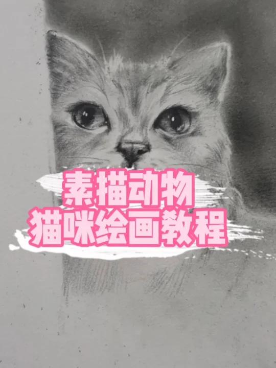 这样画素描小猫咪!