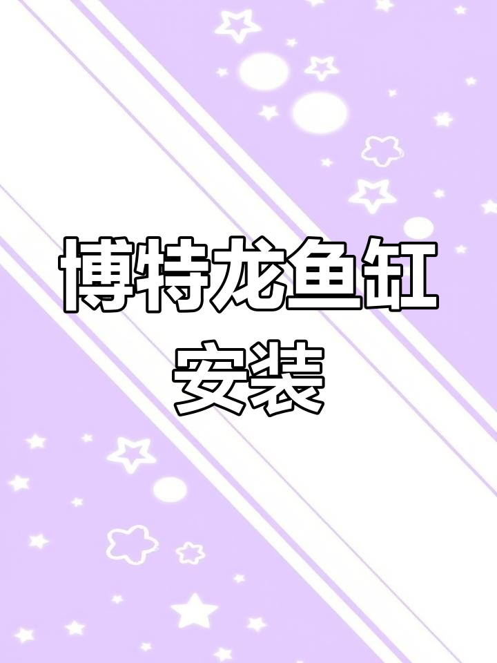 龙鱼缸安装全流程,打造水族自然生态