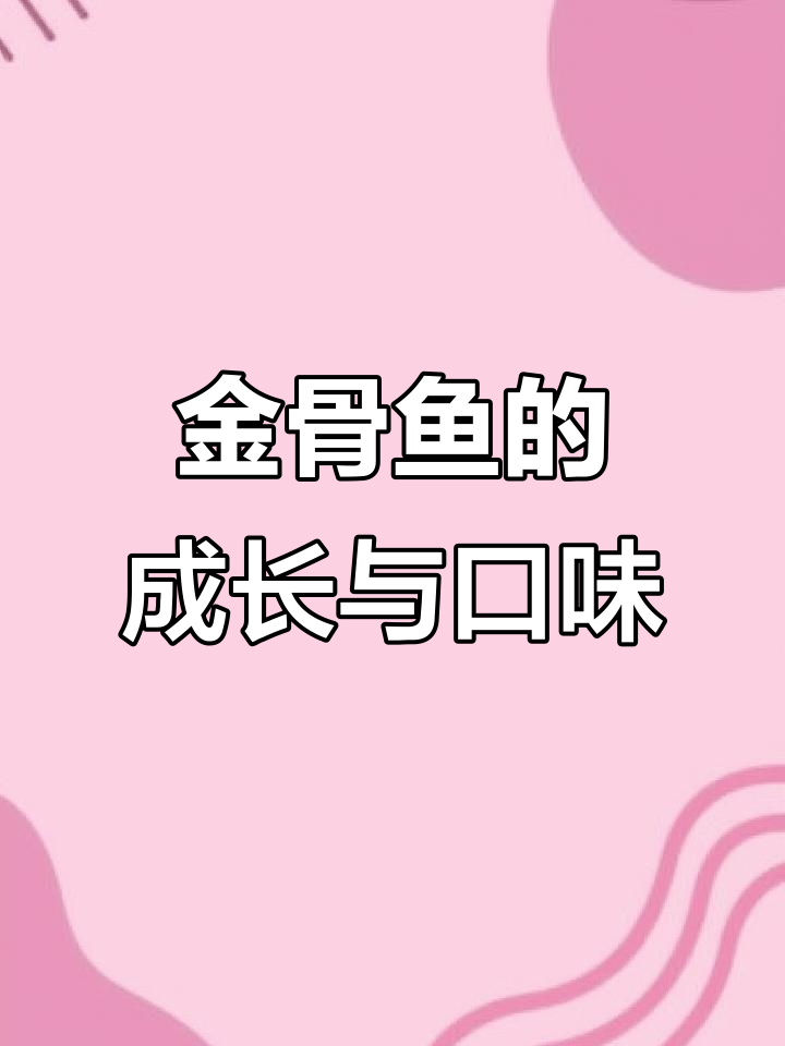 金鼓鱼从小吃素到大食肉,越大越凶猛美味