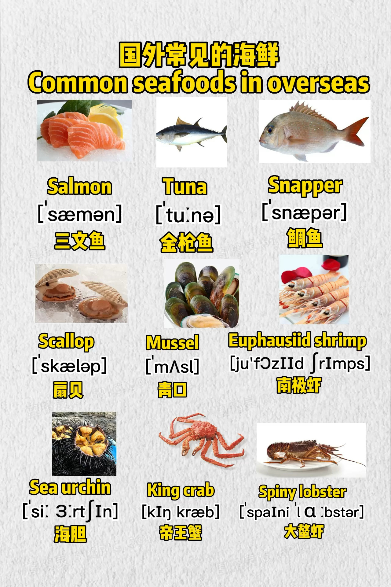 成人零基础英语|常见海鲜的英文表达(2)