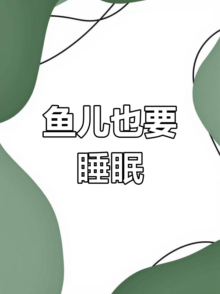 鱼也需要休息,看看它们睡觉的样子