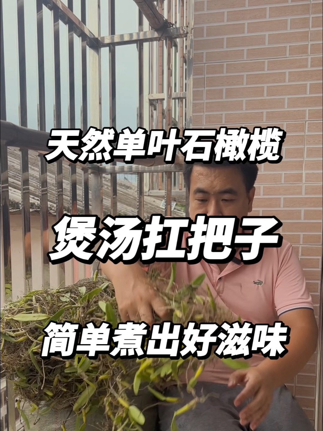 天然单叶石橄榄——煲汤扛把子,简单煮出好滋味