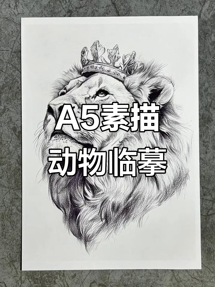 30张A5素描动物临摹卡,轻松学画萌宠