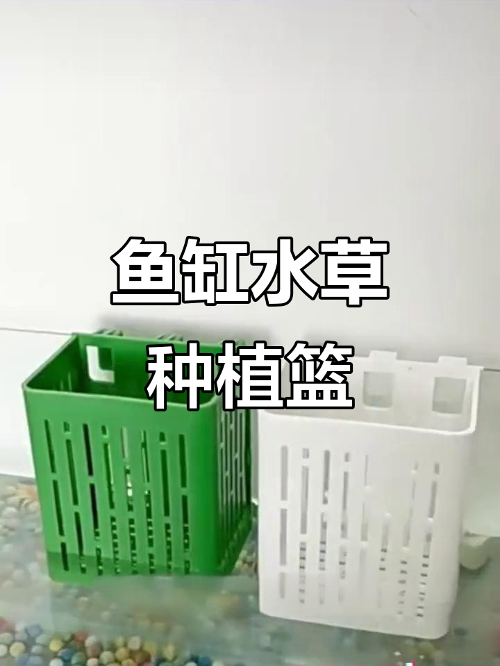水培植物定植篮,鱼缸装饰与绿萝固定神器