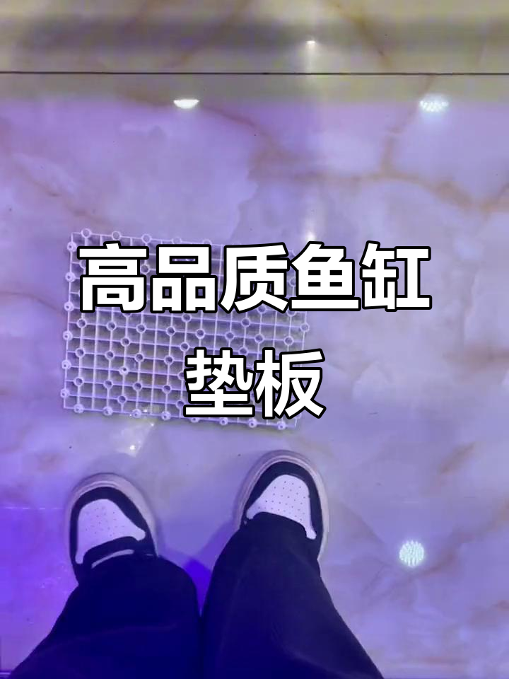 鱼缸底滤板加固承重,水循环更流畅
