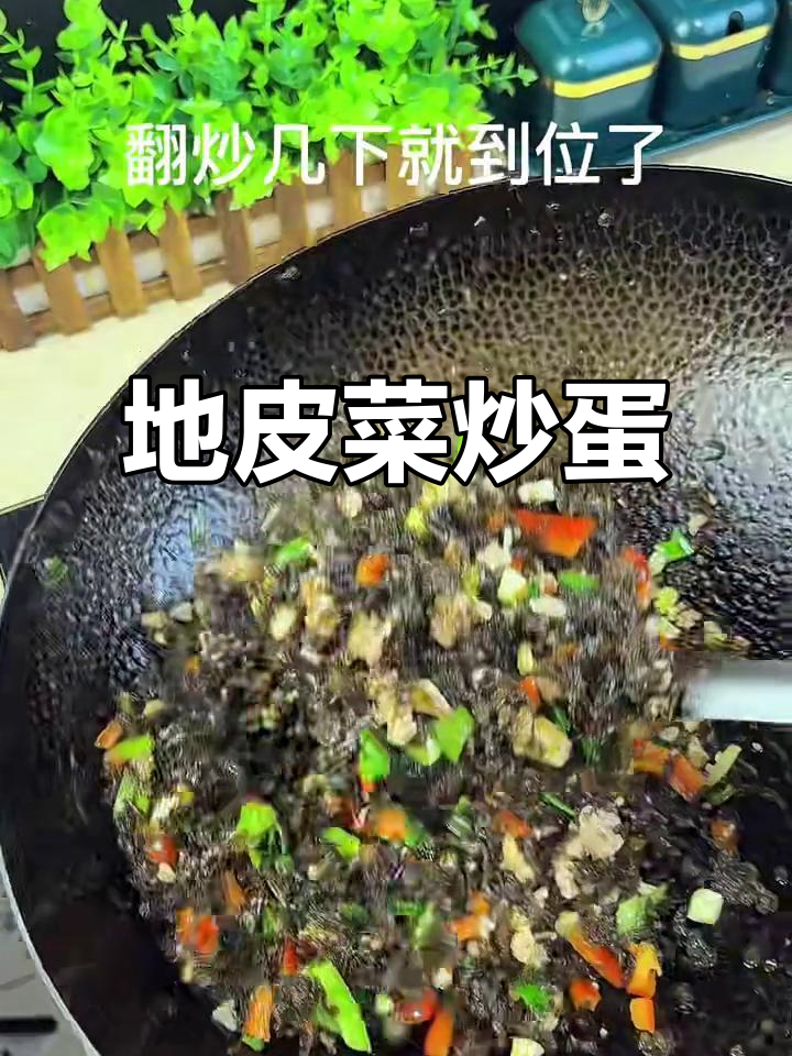 雨后地皮菜炒鸡蛋,味道超赞!