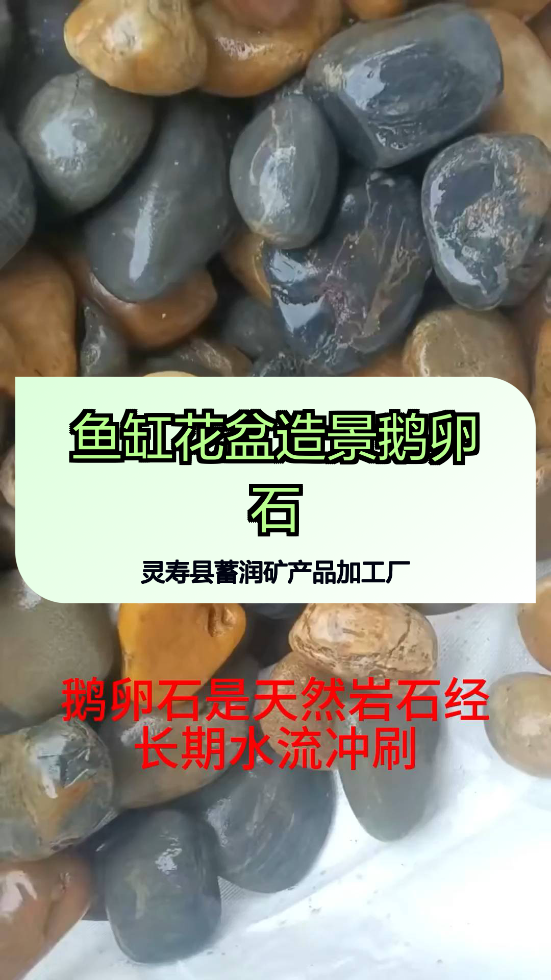 鱼缸花盆造景鹅卵石