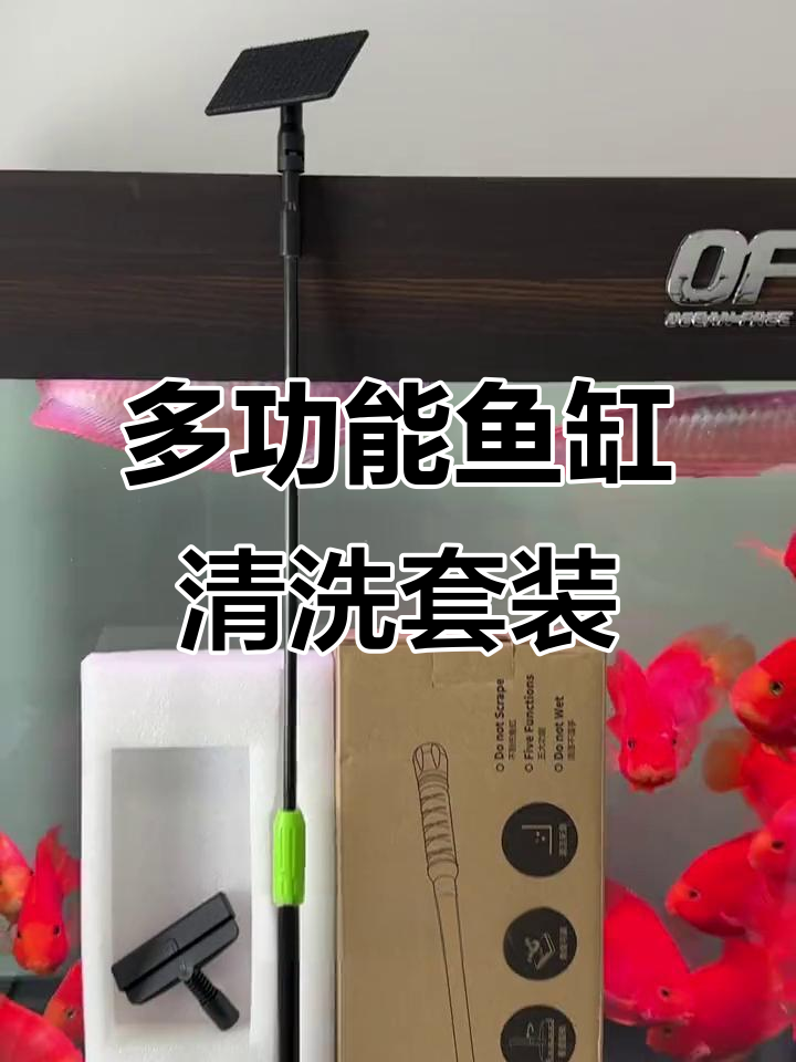 鱼缸清洁工具全解析:刷子、捞网一应俱全