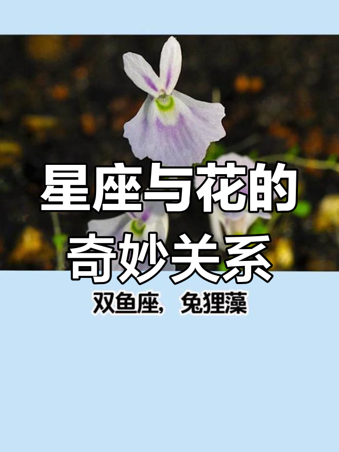 12星座专属动物之花,双鱼座最萌