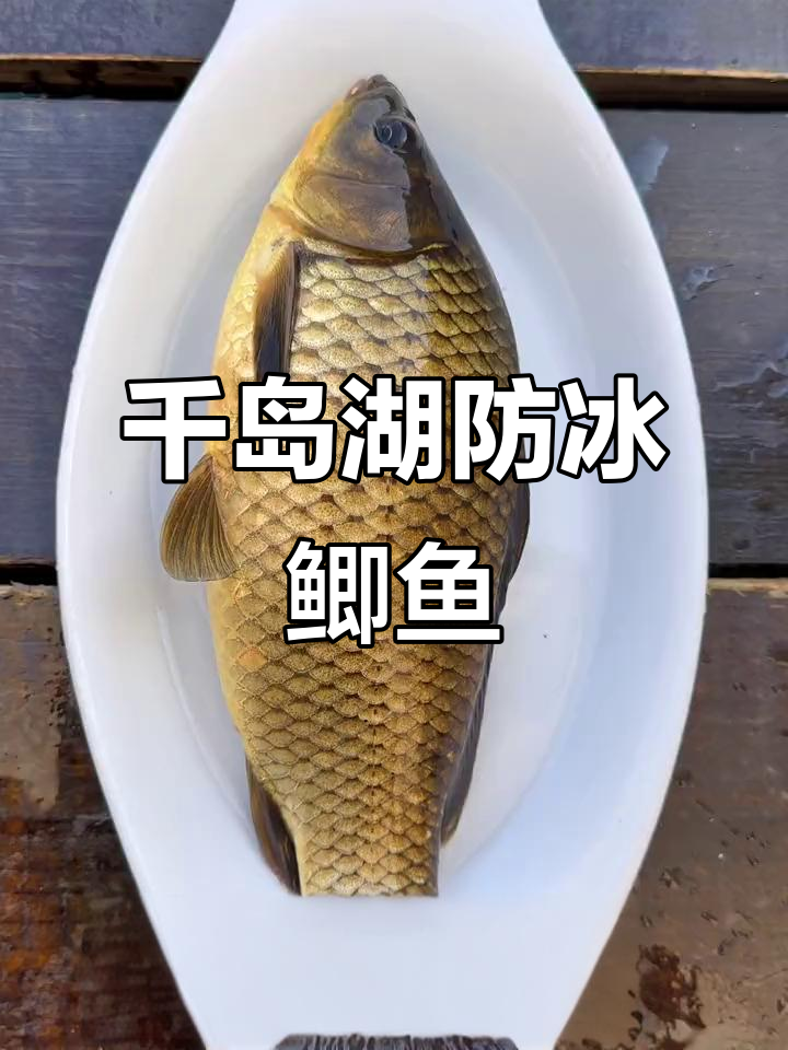 千岛湖防冰鲫鱼,山泉水喂养的青梅耐性十足