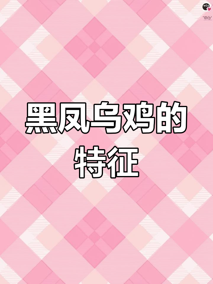 黑凤乌鸡的完美特征与遗传稳定性分析