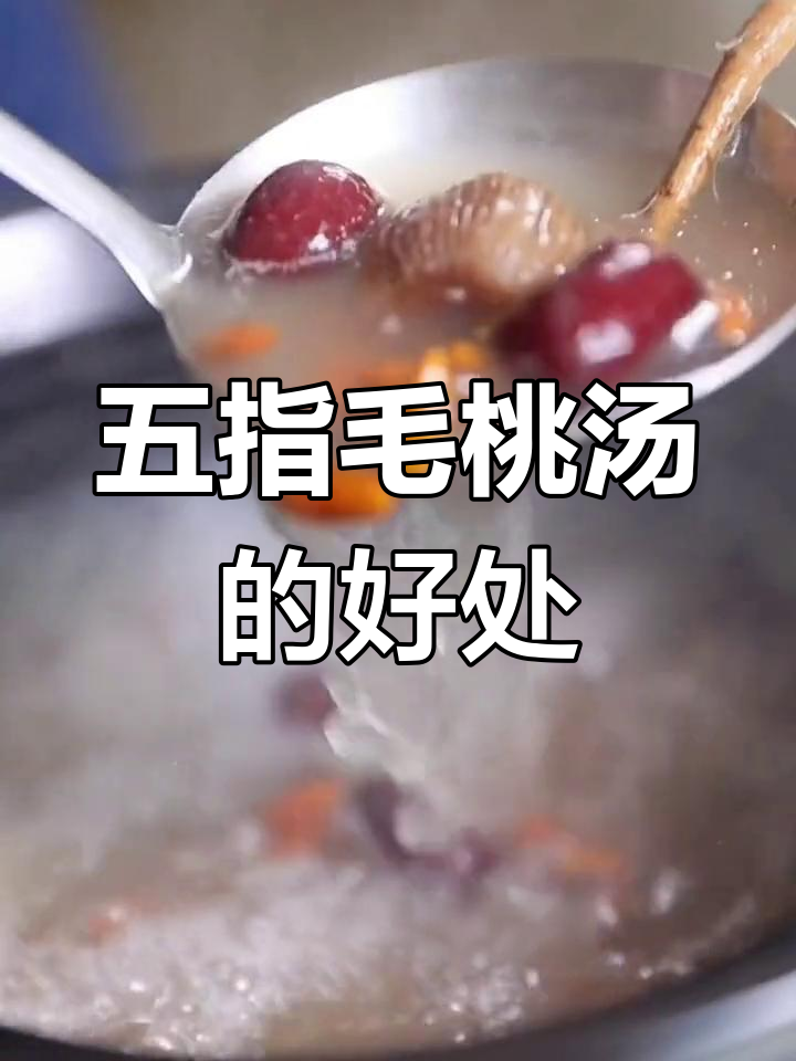 老人小孩常喝五指毛桃汤,滋补身体,炖四小时效果更佳