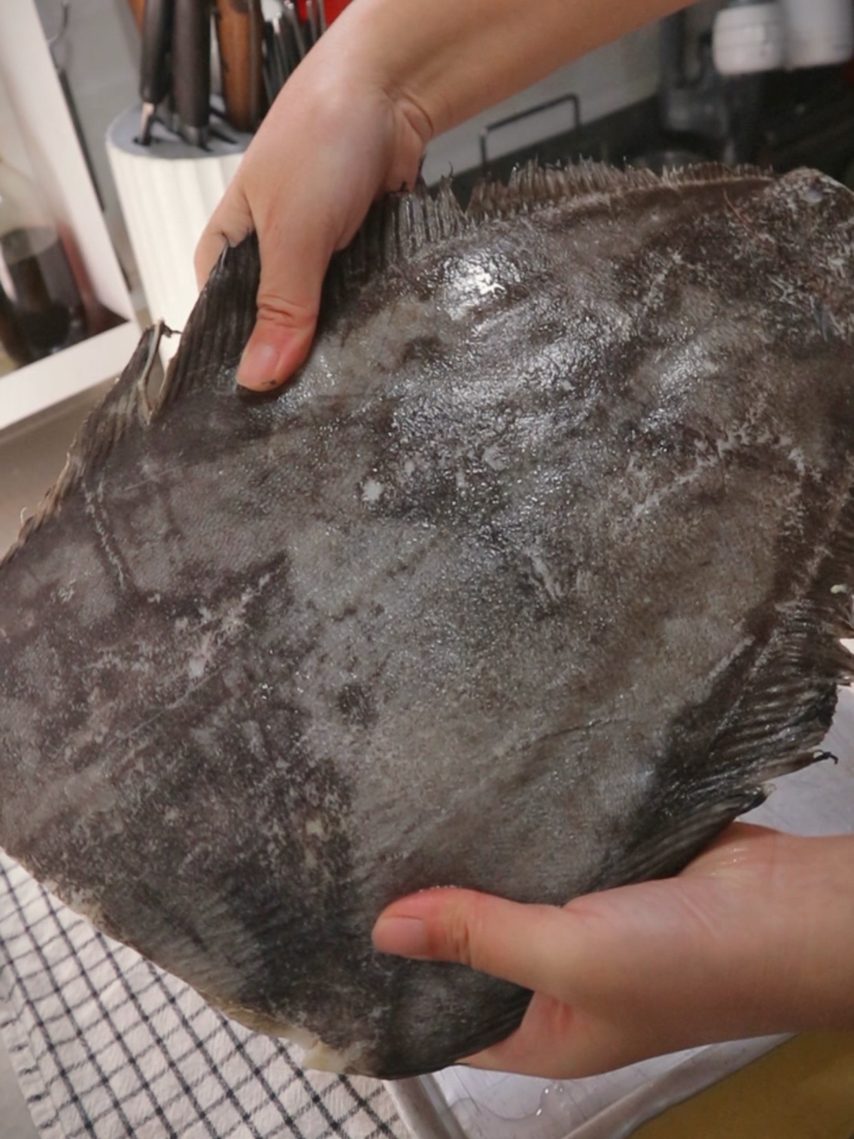 备餐13丨鸦片鱼(比目鱼)的处理