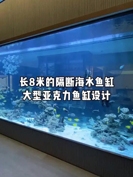 家中有一个长8米的大型海水鱼缸,是什么体验?