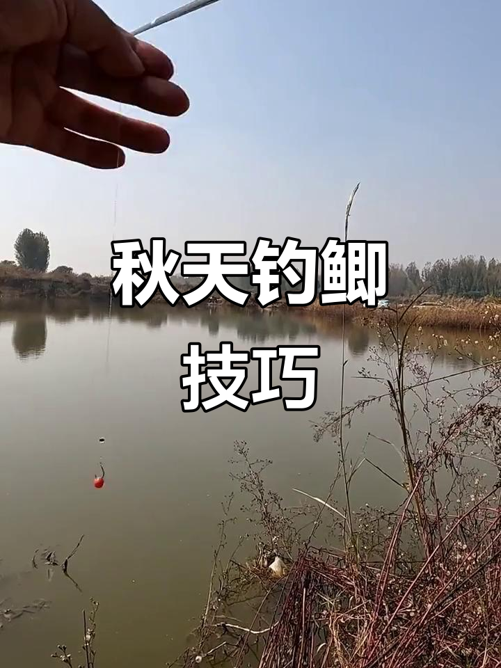 秋季鲫鱼钓法揭秘,如何应对麻鱼干扰