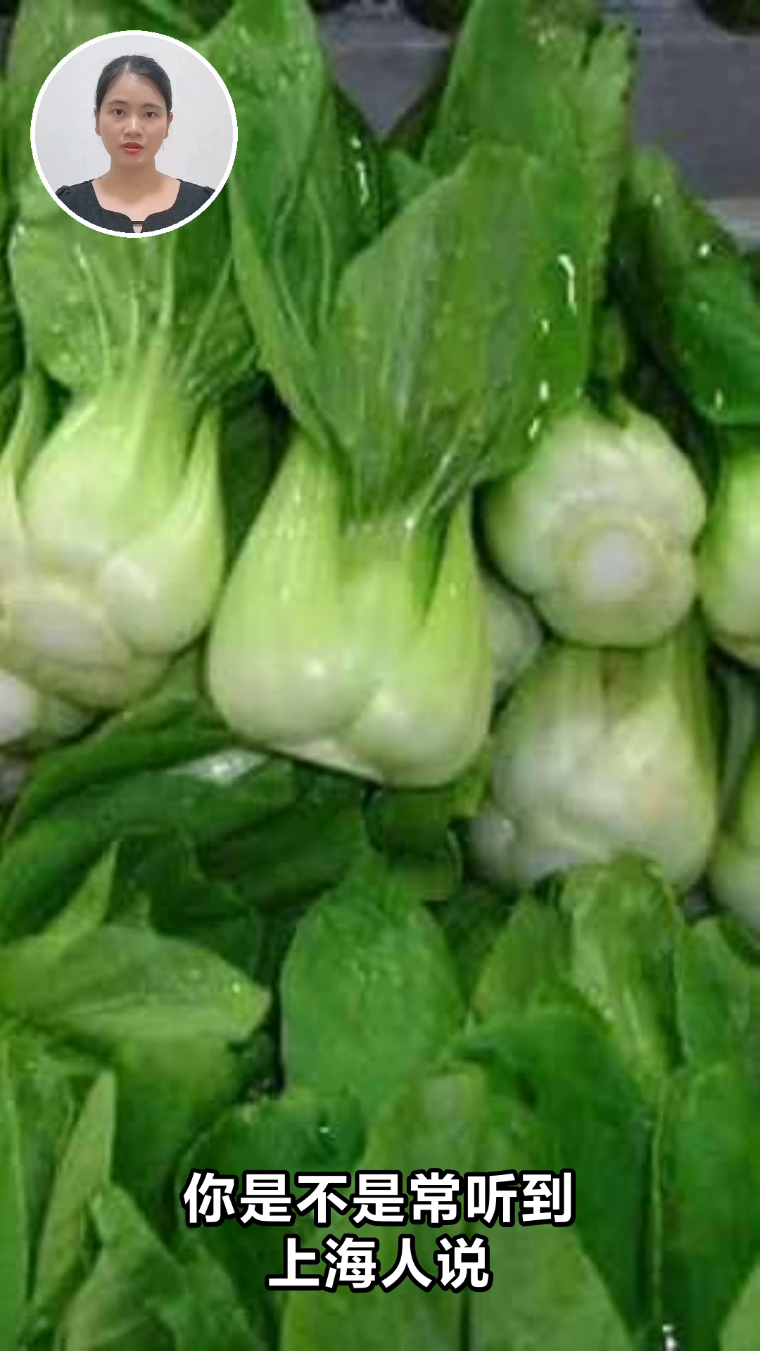 小棠菜竟是健康宝藏？