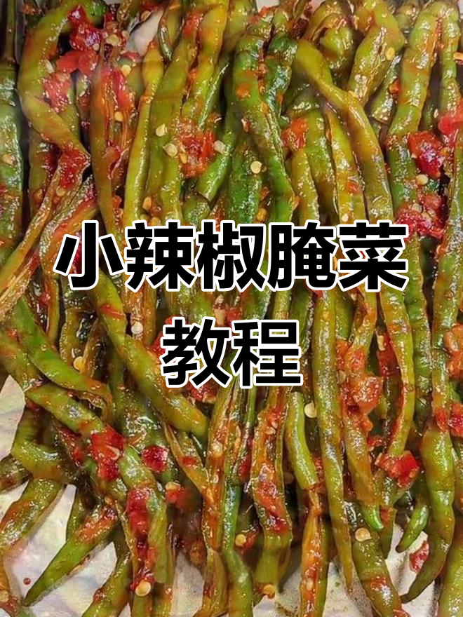 轻松做出美味小辣椒咸菜,脆爽又开胃