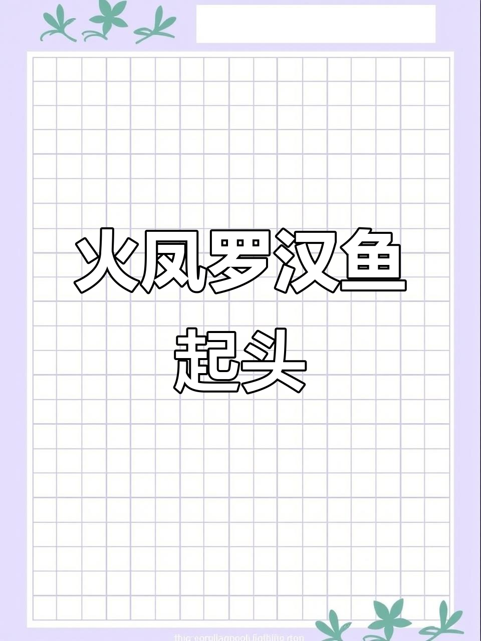 罗汉鱼头座已现，火凤苗成长迅速，颜色艳丽