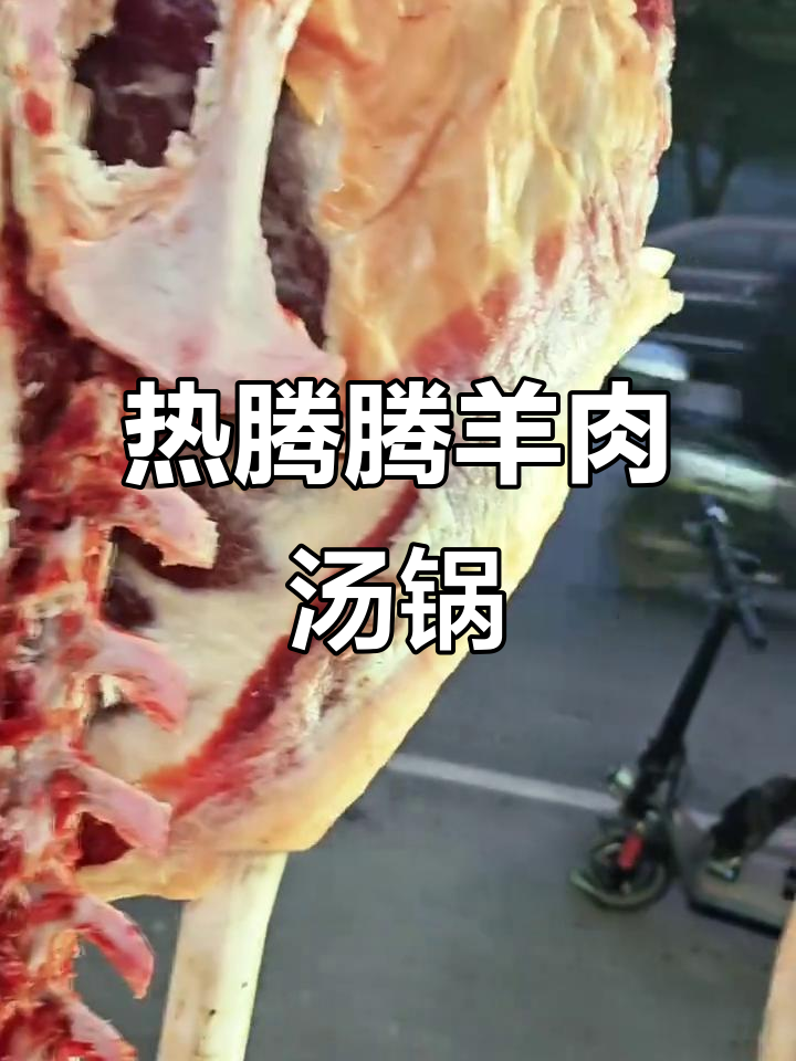 冬季暖心羊肉汤锅,鲜嫩羊排搭配涮菜,香气扑鼻让人无法抗拒