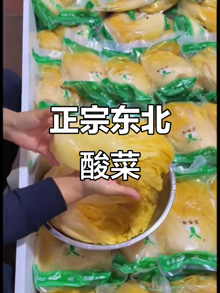 传统东北大缸酸菜,黄心白菜腌制,脆嫩爽口,放心吃!