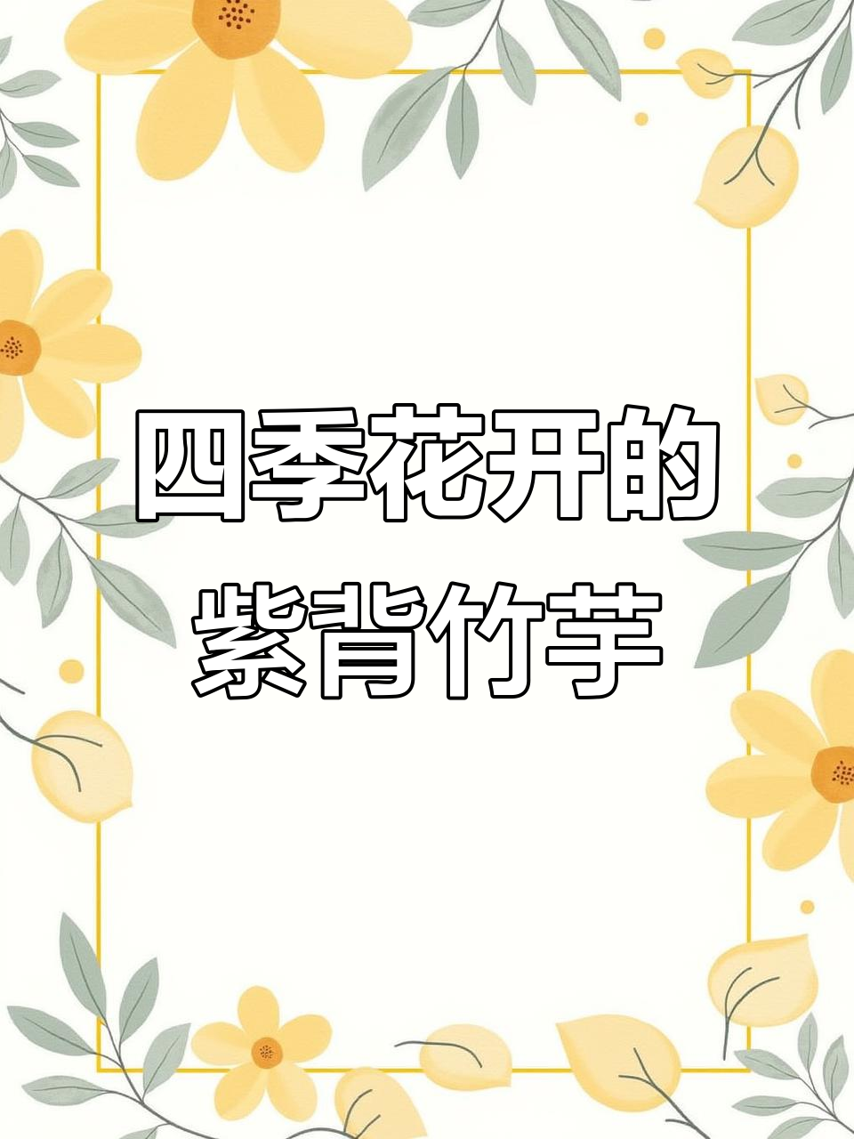 紫背竹芋,四季开花,香气扑鼻,轻松栽培,适合室内观赏